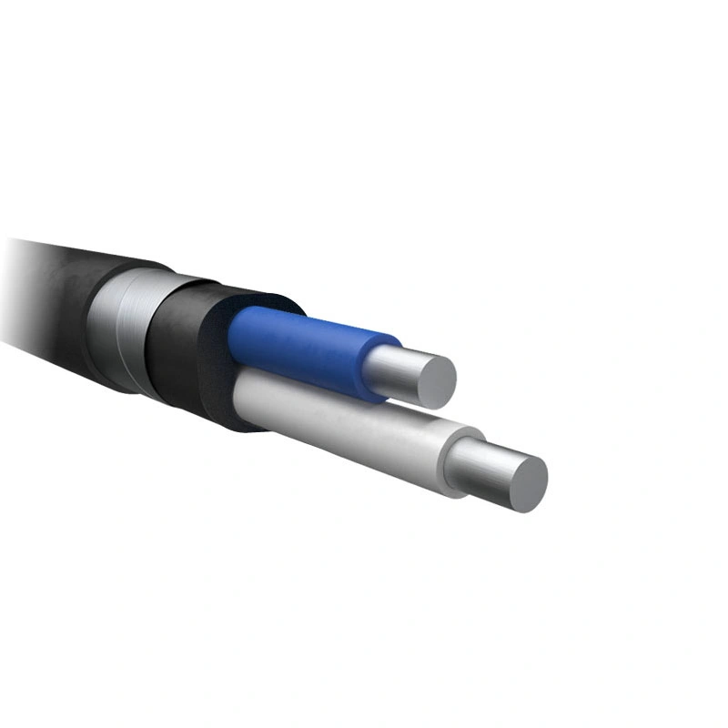 Кабель АВБбШв 2х10